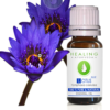 BLUE LOTUS ESSENTIAL OIL - Image 2