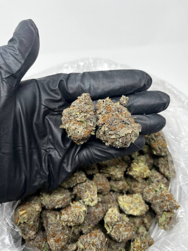 Buy White Runtz Online